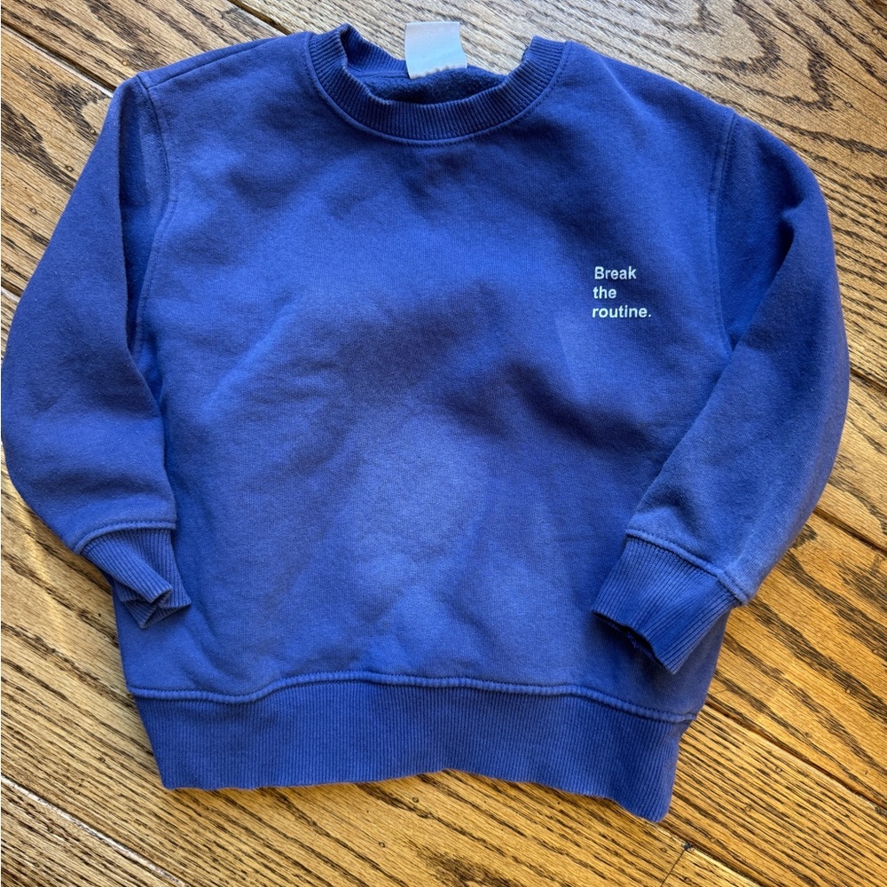 Zara Blue Kids Sweatshirt size 6